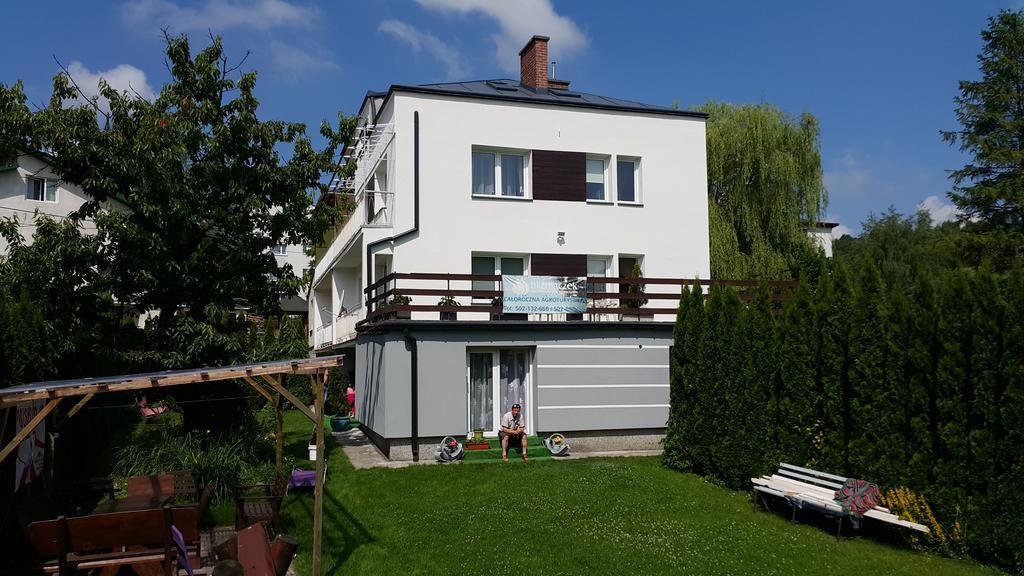 Rymanów-Zdrój Agroturystyka Blizniaczek מראה חיצוני תמונה